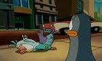 Animaniacs 1x11 ● Les Affranchis : Le Commencement Animaniacs 1x11 ● Les Affranchis : Le Commencement