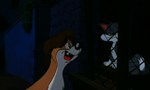 Animaniacs 1x24 ● Les Miséranimaux Animaniacs 1x24 ● Les Miséranimaux