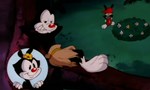 Animaniacs 1x59 ● Le Songe d'une nuit d'été Animaniacs 1x59 ● Le Songe d'une nuit d'été