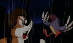 Animaniacs 1x86 ● Sans abri aux abris Animaniacs 1x86 ● Sans abri aux abris