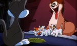 Animaniacs 1x95 ● Félins pour l'autre Animaniacs 1x95 ● Félins pour l'autre
