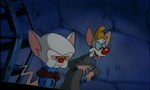 Animaniacs 1x94 ● Formule magique Animaniacs 1x94 ● Formule magique