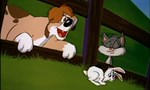 Animaniacs 1x103 ● Des gentils et des hommes Animaniacs 1x103 ● Des gentils et des hommes