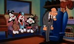 Animaniacs 3x01 ● Déduction sauvage Animaniacs 3x01 ● Déduction sauvage