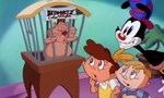 Animaniacs 3x13 ● Le Loupiot au papeau Animaniacs 3x13 ● Le Loupiot au papeau