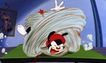 Animaniacs 3x20 ● Va piocher Animaniacs 3x20 ● Va piocher