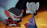Animaniacs 3x23 ● La Déclaration Animaniacs 3x23 ● La Déclaration