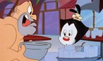 Animaniacs 3x33 ● Gunga Dot Animaniacs 3x33 ● Gunga Dot
