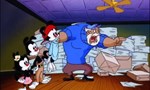 Animaniacs 4x14 ● Des papiers pour Papa Animaniacs 4x14 ● Des papiers pour Papa