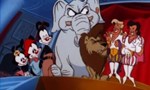 Animaniacs 5x19 ● Les parrains magiques Animaniacs 5x19 ● Les parrains magiques