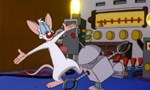 Animaniacs 5x20 ● L'Apprenti de Cortex