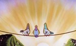 Animaniacs 5x21 ● Des oiseaux sur un fil
