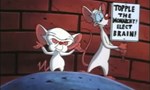 Minus et Cortex 2x02 ● Curieuses impressions Minus et Cortex 2x02 ● Curieuses impressions