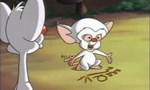 Minus et Cortex 2x07 ● L'appel de la jungle Minus et Cortex 2x07 ● L'appel de la jungle