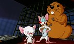 Minus et Cortex 3x01 ● Castomania Minus et Cortex 3x01 ● Castomania