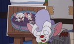 Minus et Cortex 3x29 ● But, That's Not All Folks! Minus et Cortex 3x29 ● But, That's Not All Folks!