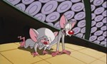 Minus et Cortex 4x01 ● Brainwashed (1): Brain, Brain, Go Away Minus et Cortex 4x01 ● Brainwashed (1): Brain, Brain, Go Away