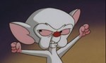 Minus et Cortex 4x03 ● Brainwashed (3): Wash Harder Minus et Cortex 4x03 ● Brainwashed (3): Wash Harder