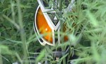 Kamen Rider 13x27 ● Ryūsei School Breaks Up