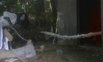 Kamen Rider 15x02 ● Howling Spider