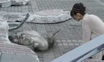 Kamen Rider 17x10 ● Hana and the Stormy Singular Point