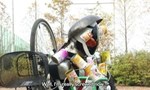 Kamen Rider 22x19 ● The Matchless Steel Dragon