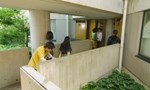 Kamen Rider 23x04 ● The Pianist and the Doll