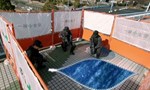 Kamen Rider 24x22 ● The Truth of One in Seven Kamen Rider 24x22 ● The Truth of One in Seven