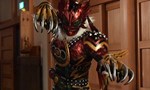 Kamen Rider 29x10 ● Hawk, Tiger and Grasshopper 2010