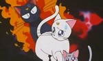 Sailor Moon 4x06 ● Beaucoup de bruit pour un châton