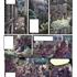Planche 01