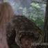 Lake Placid 2 21