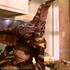 Gremlins capture DVD 11