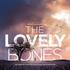 Lovely Bones poster 01