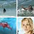 Malibu Shark Attack 01