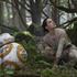 Rey et BB-8 en pleine forêt