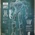 Plans de Gipsy Danger