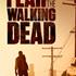 Affiche Fear the Walking Dead - zombie errant