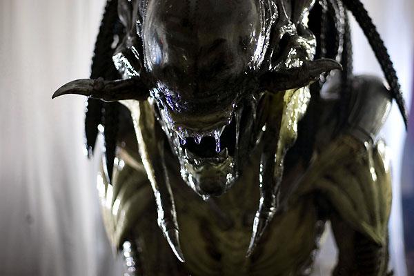 Aliens vs. Predator - 06