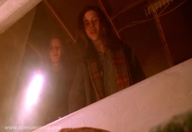 Ginger Snaps 05