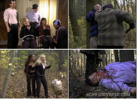 Woods of Evil 01