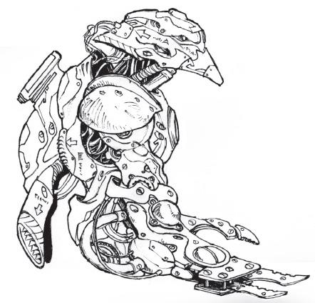 Image 01