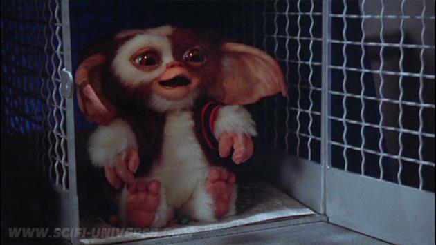 Gremlins2 - capture DVD 24