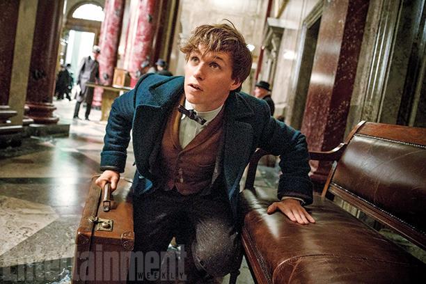 Newt Scamander