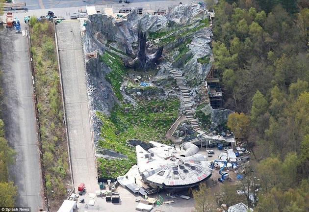 L'étrange arbre de Skellig Michael sur le plateau de Pinewood