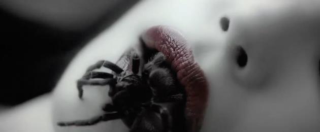 American Horror Story [2011]