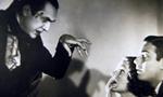 Voir la critique de Dracula [1932]
