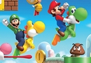 Voir la critique de New Super Mario Bros. Wii