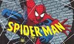 Voir la fiche Spider-Man - collection Semic