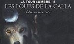 Voir la critique de Les Loups de la Calla